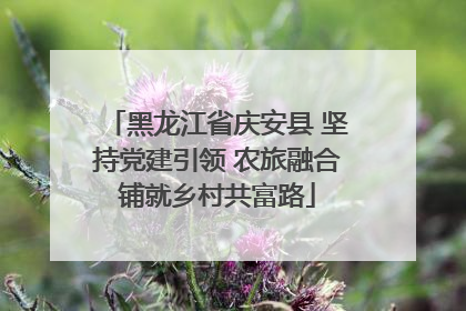 黑龙江省庆安县 坚持党建引领 农旅融合铺就乡村共富路